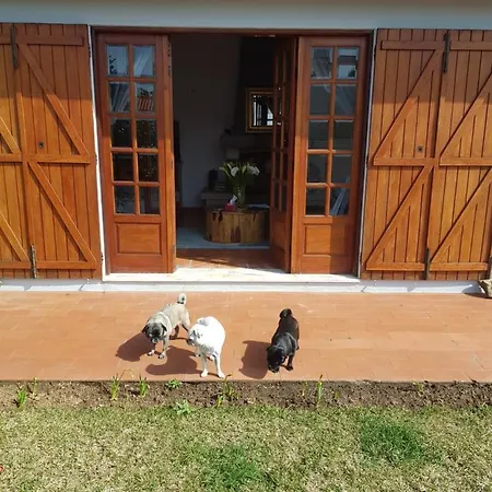 Beachwalk Эшмориш