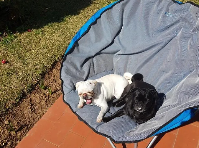 Beachwalk Отель типа 