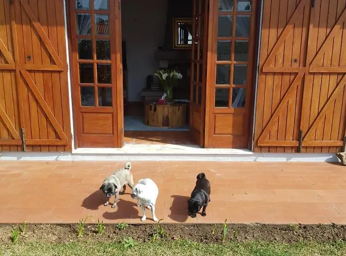 Beachwalk Эшмориш