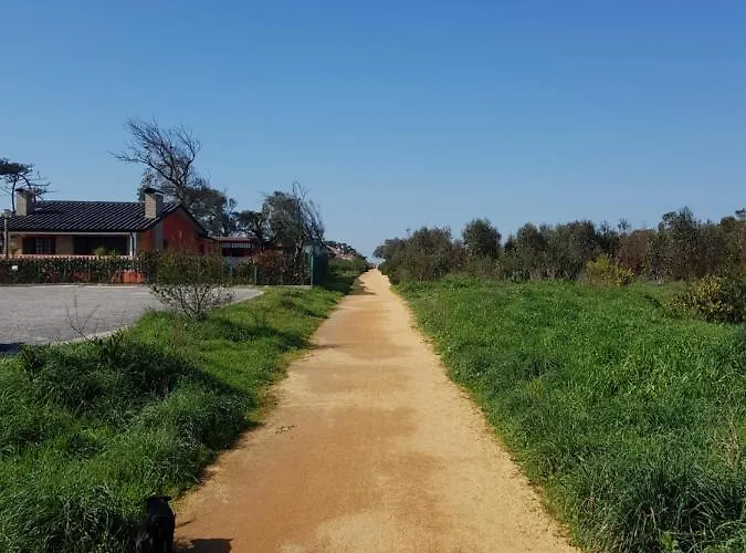 Beachwalk Эшмориш