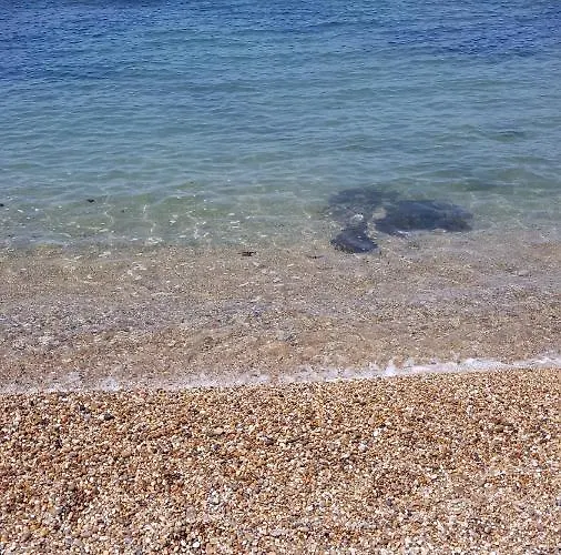 Beachwalk Отель типа 