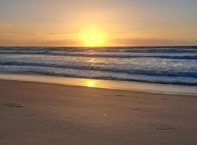 Beachwalk Отель типа 